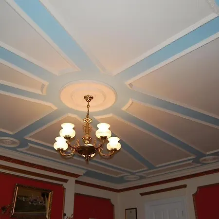 לינה וארוחת בוקר Ballingowan House ניוקאסל ווסט