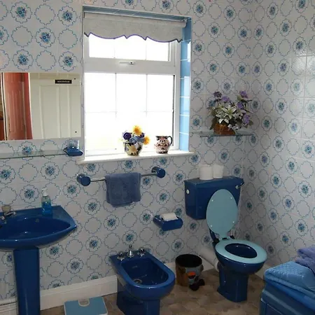 فندق مبيت وإفطار Ballingowan House