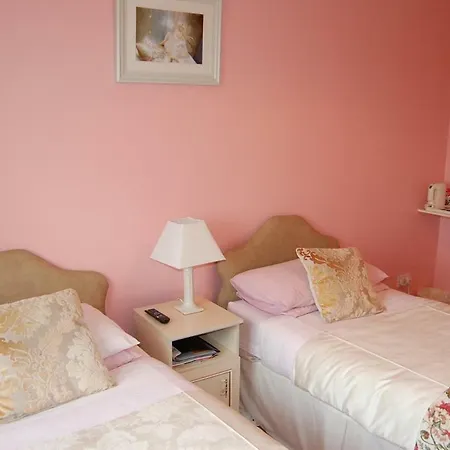 فندق مبيت وإفطار Ballingowan House